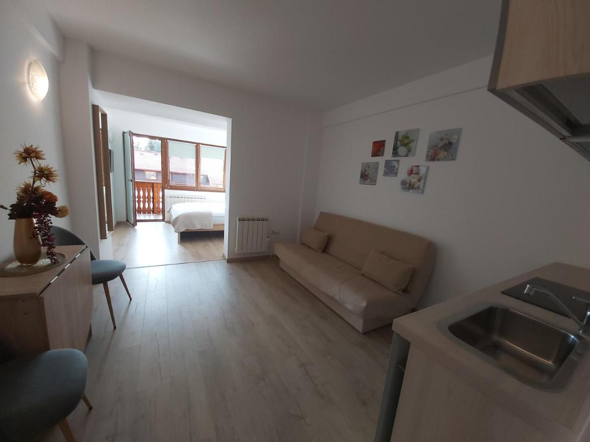 Studio Montana Poiana Brasov Bagian luar foto