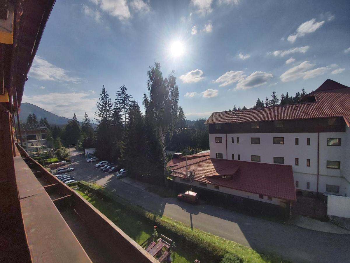 Studio Montana Poiana Brasov Bagian luar foto
