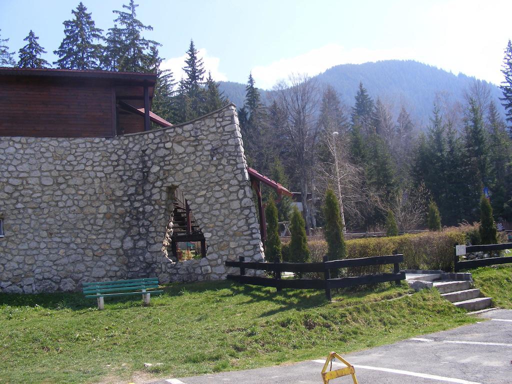 Studio Montana Poiana Brasov Bagian luar foto