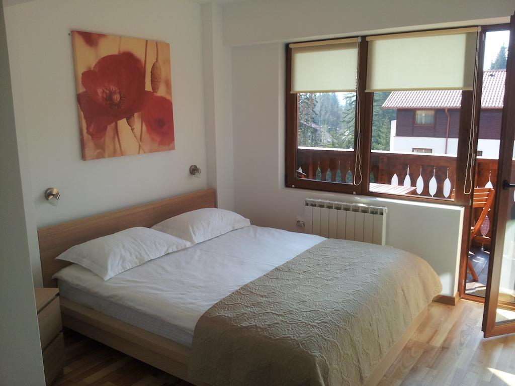 Studio Montana Poiana Brasov Bagian luar foto